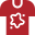T-shirt icon representing professional stain treatment services
